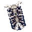 Skull Shield